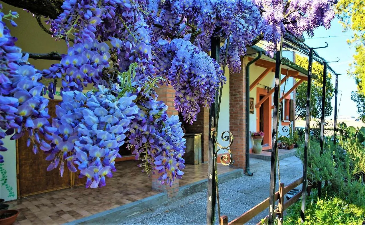 B&B La Mia Oasi コマッキオ イタリア