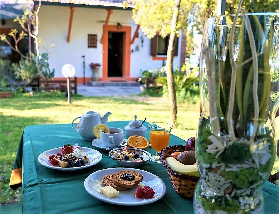 ベッド・アンド・ブレックファスト B&B La Mia Oasi コマッキオ