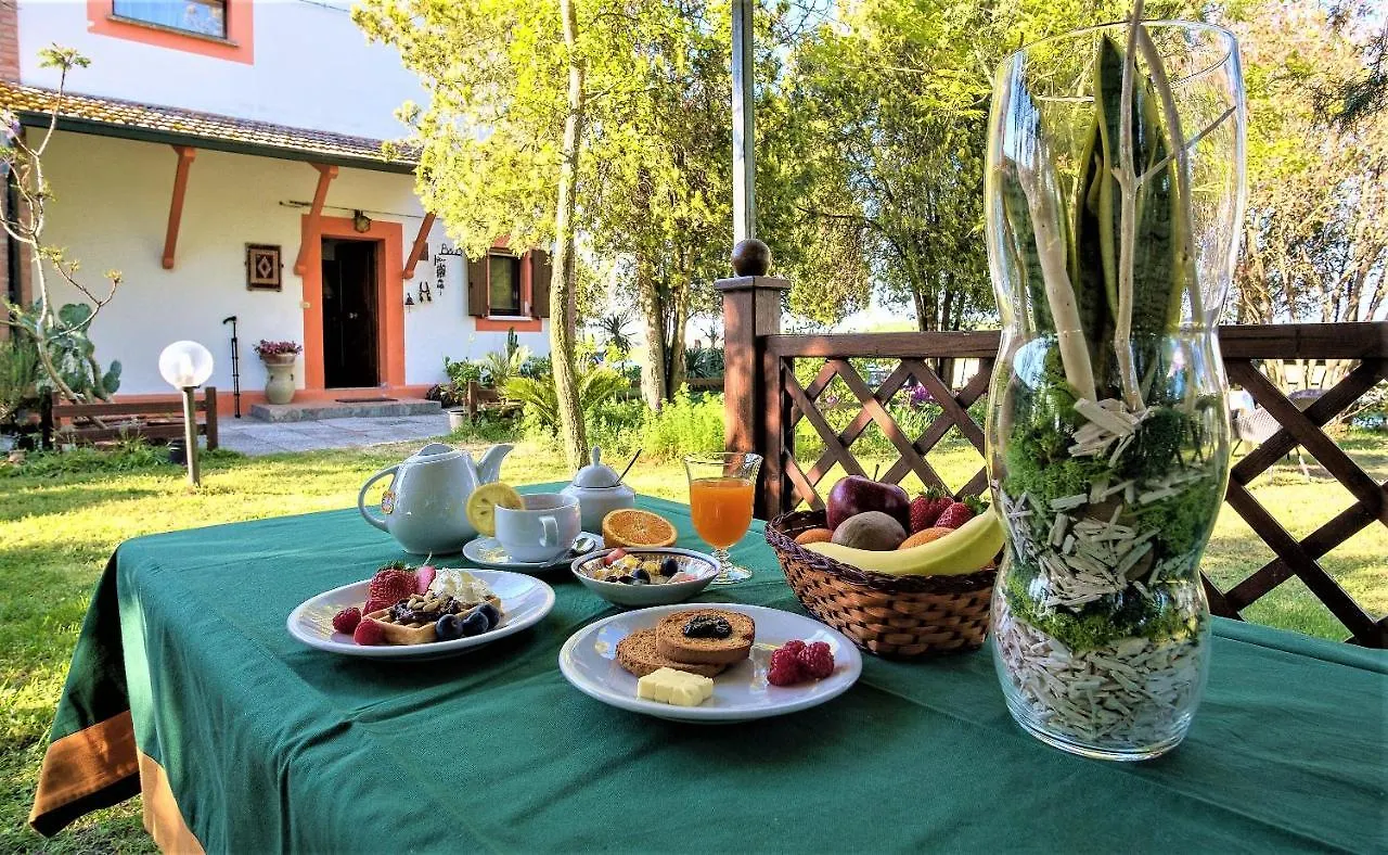 ベッド・アンド・ブレックファスト B&B La Mia Oasi コマッキオ